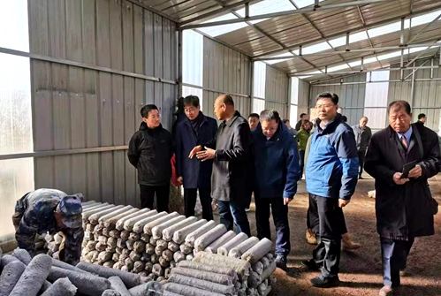 沈陽分院機關黨委組織黨員赴定點扶貧單位實地調研