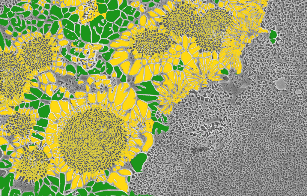 沈陽分院獲2022年中國科學院科普視頻圖片大賽優秀組織獎