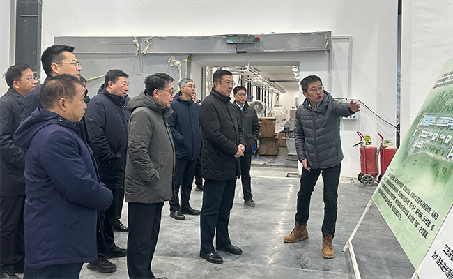 遼寧省委常委、常務副省長王健一行來大連化物所調研