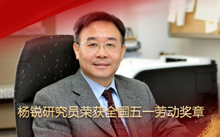 金屬所楊銳研究員榮獲全國五一勞動獎章