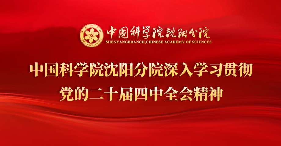 專題：深入學習貫徹黨的二十屆四中全會精神